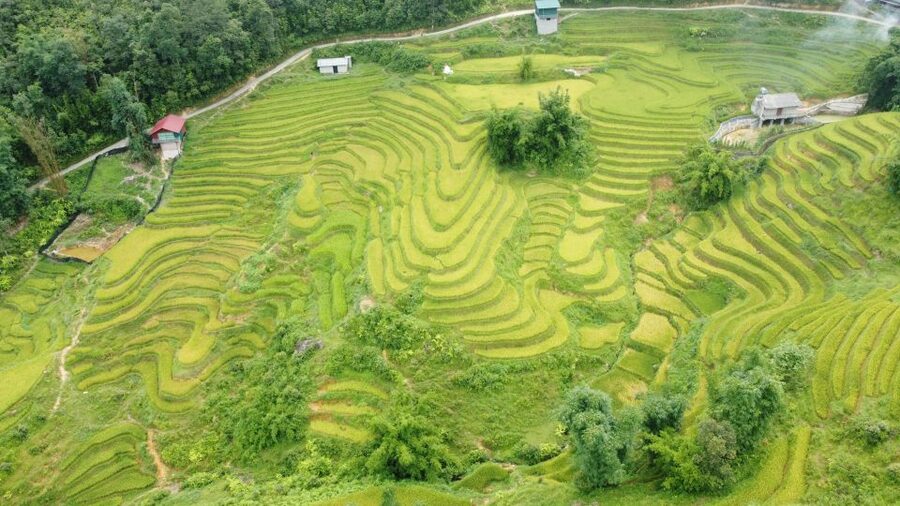 From Sapa: Terrace Fields and Local Villages Trek with Lunch - Who should book this trek?