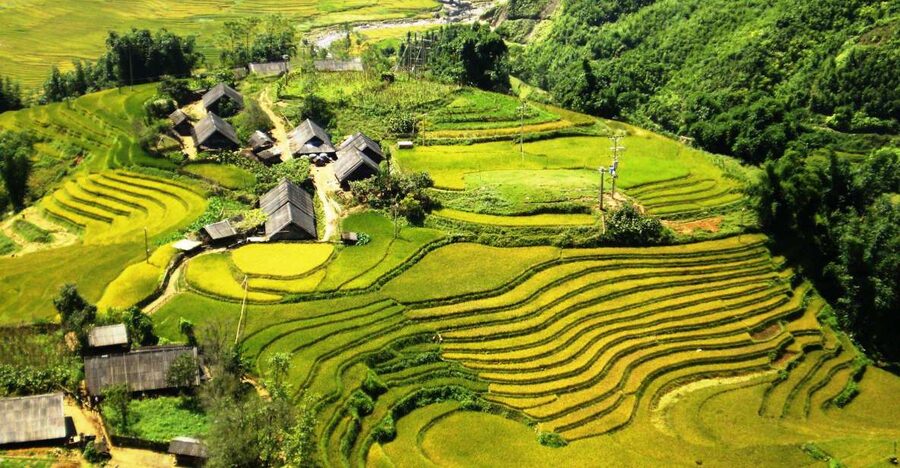 From Sapa: Terrace Fields and Local Villages Trek with Lunch - The 8:00 to 8:45 pickup through Sapa