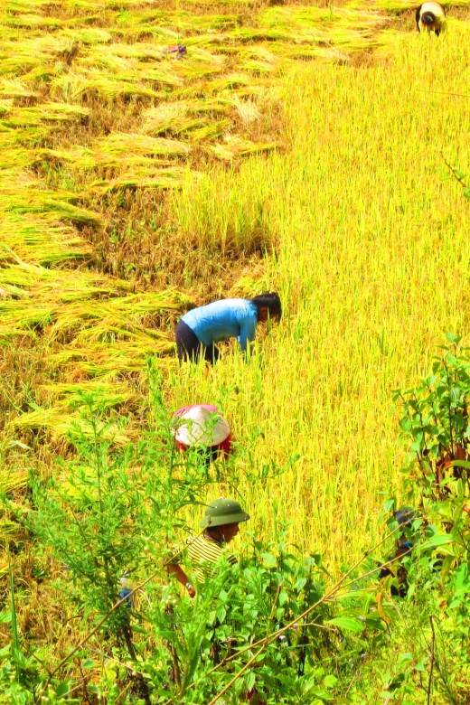 From Sapa: Waterfalls, Trekking and Tribal Villages Tour - Silver Waterfall and Love Waterfall near Sapa