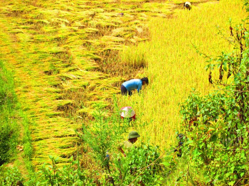 From Sapa: Waterfalls, Trekking and Tribal Villages Tour - Guides, group size, and the value of $72