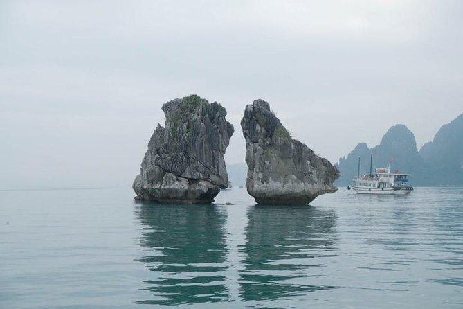 From your cruise port to Ninh Binh 1 day with our driver - Mua Cave Means Nearly 500 Steps for the Best View