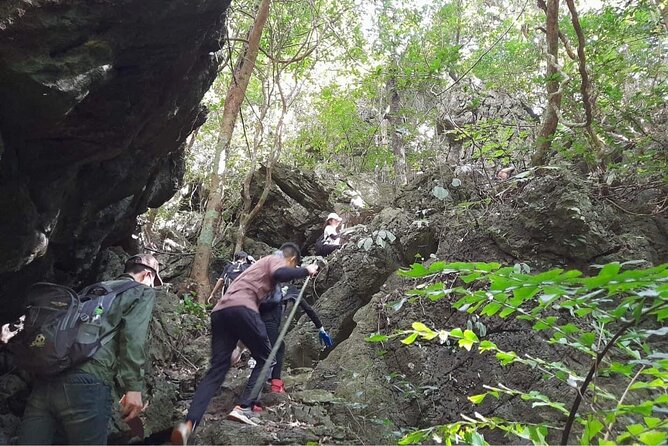 Full-Day Cuc Phuong National Park Hiking Tour - Who will get the most from this $24 day trip