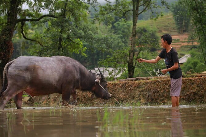Full Day Cultural Tour in Sapa Terraces - Key points to know before you book