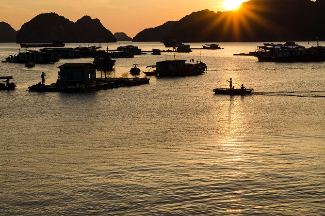 Full day hikes, Cycles, Kayaks & swims in Cat Ba National park - Frog Pond is the morning’s natural highlight
