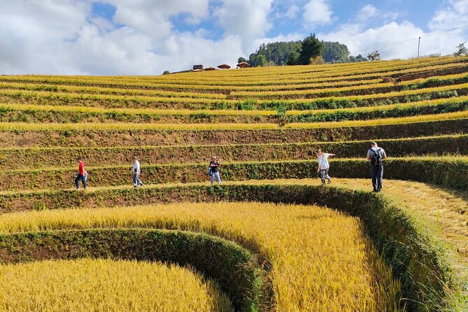 Full day motorbike Mu Cang Chai - Hau De waterfall and the smaller rice terraces