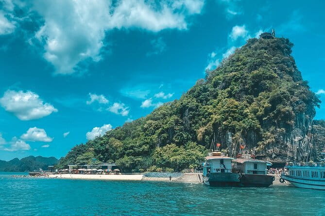 Full Day Private Tour in Halong with Lunch - Summer rolls, tea, and the return sail