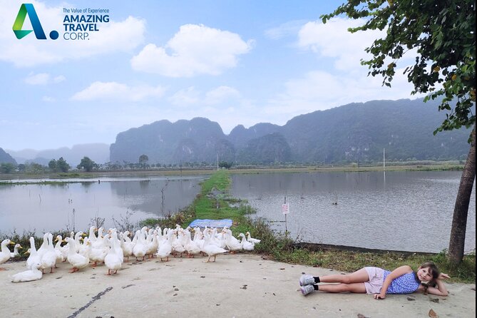Full Day Private Tour in Ninh Binh(Trang An-Bich Dong-Mua Cave) - What the $139 price really covers