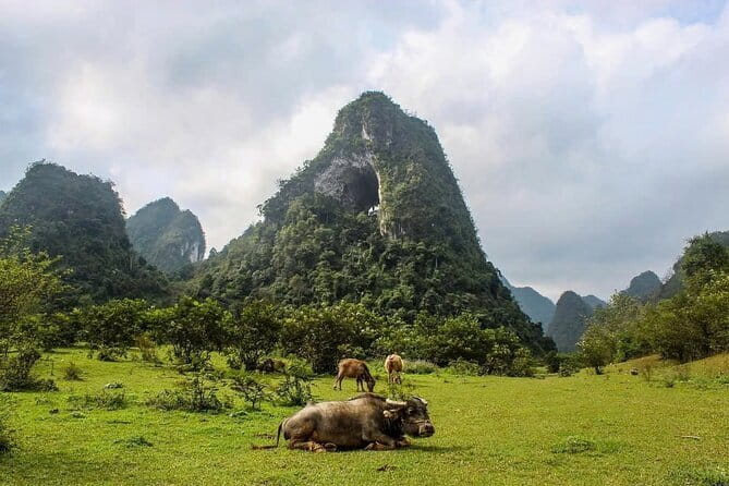 Ha Giang Cao Bang Loop 5 Days Private Tour with English Guide - Why this five-day route is different