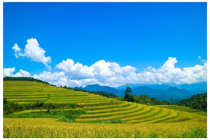 Ha Giang Loop 2D/1N Private Room + Free Dorm Hotel 1N before tour - The Vuong family mansion before Dong Van