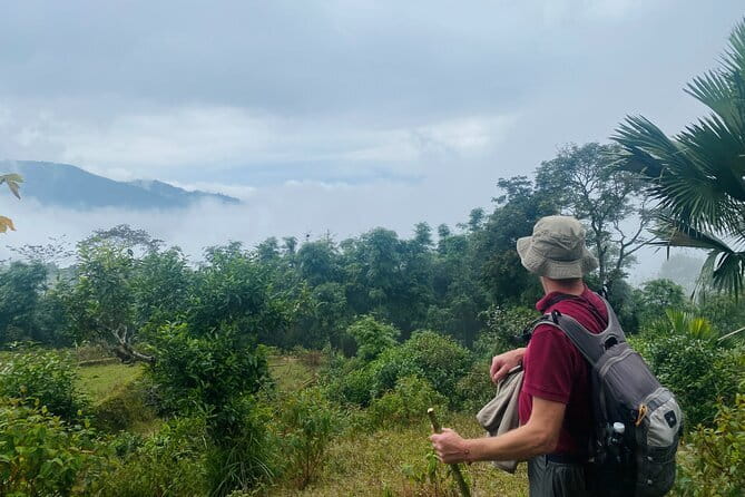 Ha Giang Loop Trekking Full Day Tour - Cooking five-color sticky rice at Dragon Home