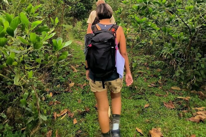 Ha Giang Loop Trekking Full Day Tour - Small-group logistics and guide quality