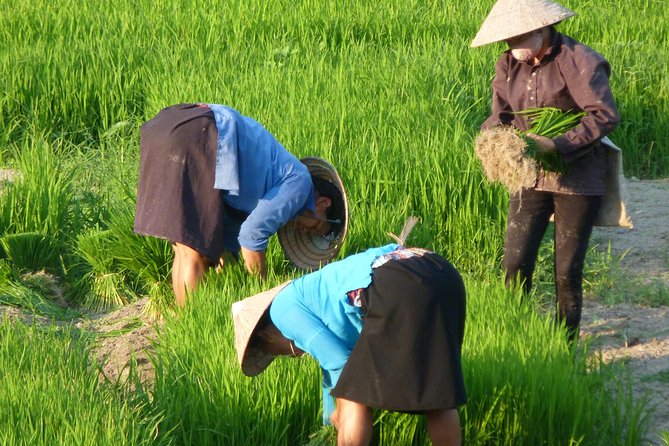 Ha Giang Trekker 2D2N - Who will enjoy this trek most