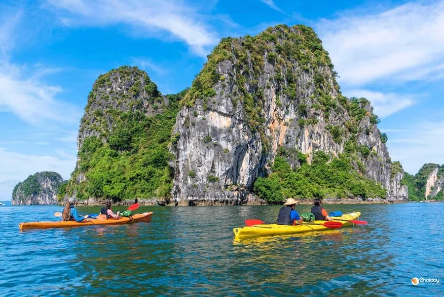Ha Long 1 Day Luxury Small Group & Kayaking - Food, comfort, and what to pack
