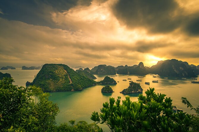 Ha Long Bay Cruise Day Tour-Cave, Kayaking,Ti top island & Lunch - Boarding at Tuan Chau Island and eating lunch onboard