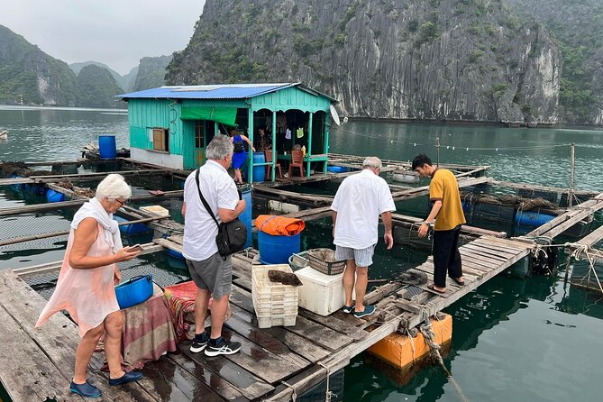 Ha noi: 3D- Halong, Lan ha bay classic cruise, Ninh Binh full day - Kayaking through Lan Ha Bay