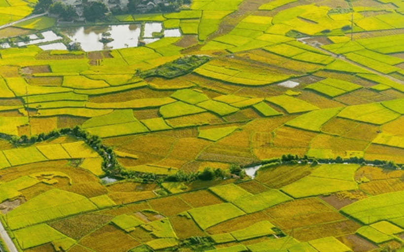 Ha Noi - Mai Chau - Pu Luong 2 Days 1 Night Trekking Tour - Key points to know before booking