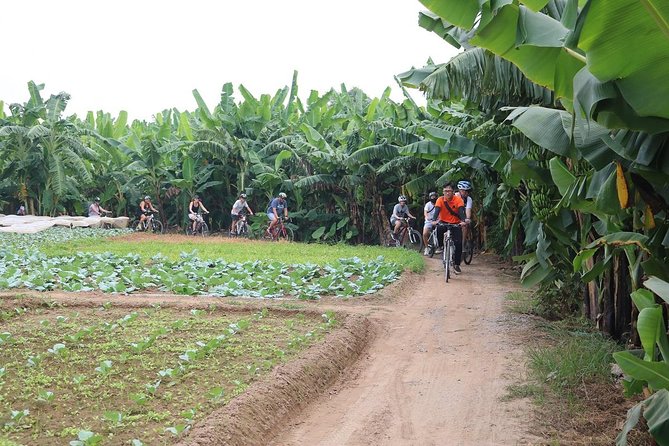 Half-Day Bicycle Tour Combine City & Countryside + Train Street - Why a bicycle is a smart way to see Hanoi
