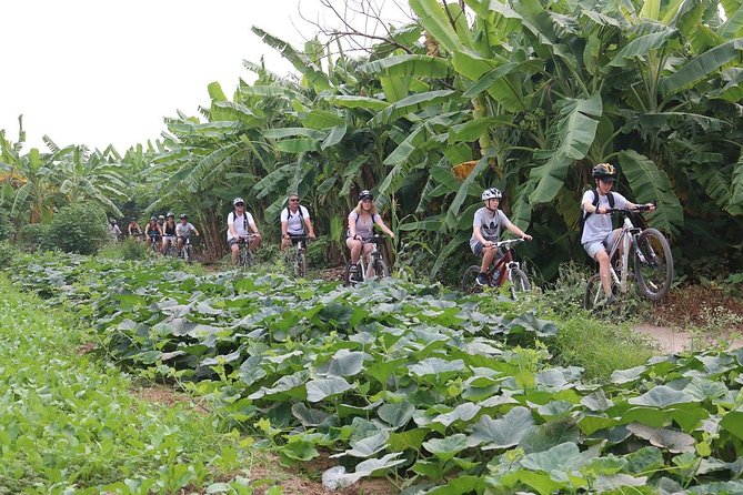 Half-Day Bicycle Tour Combine City & Countryside + Train Street - West Lake and the Thanh Nien road