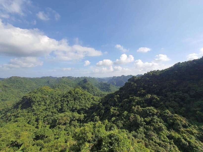Half Day Hiking to Cat Ba National Park with a Guide - Key points to know before you book