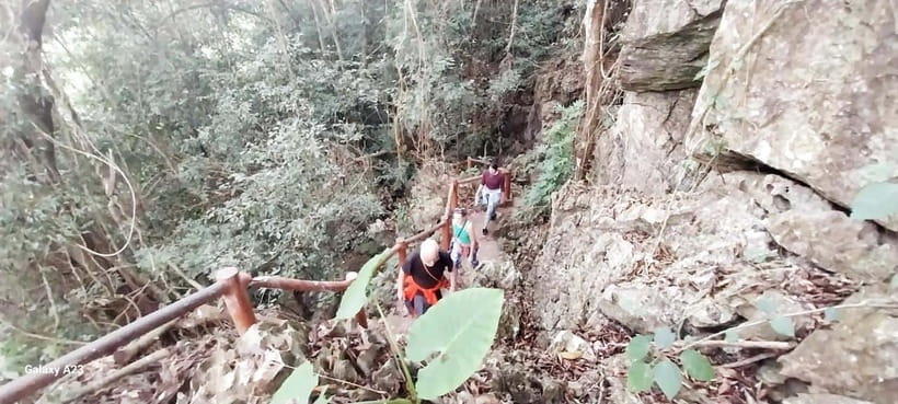 Half Day Hiking to Cat Ba National Park with a Guide - The guides make the difference