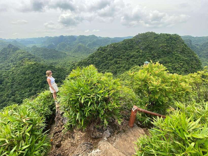 Half Day Hiking to Cat Ba National Park with a Guide - The ride from Cat Ba town to the park