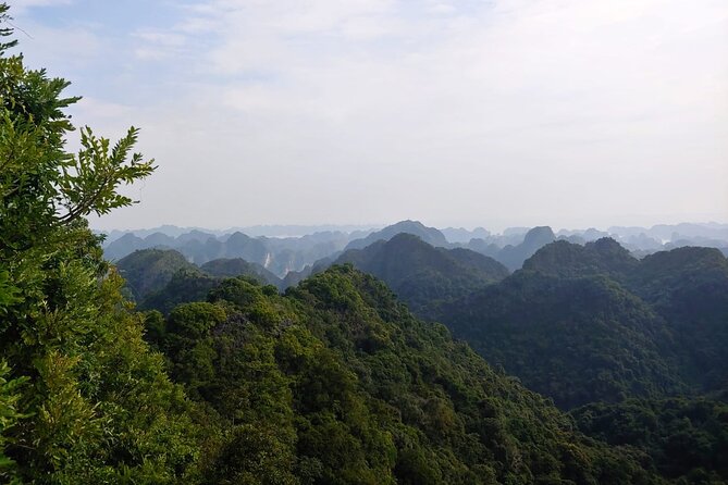 Half Day Hiking to Discover Cat Ba National Park with a Guide - Cat Ba’s wartime cave and jungle in one morning