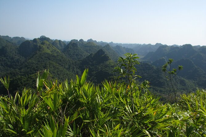 Half Day Hiking to Discover Cat Ba National Park with a Guide - Hospital Cave: a military hospital inside the mountain