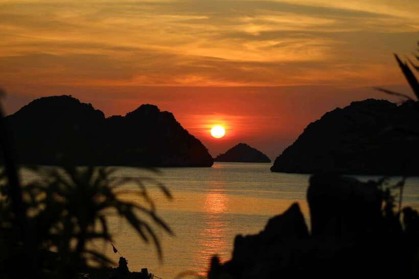 Half day Lan Ha Bay excursion ( 4 hours ): Kayaking, Snorkel - What makes this half-day trip worth considering
