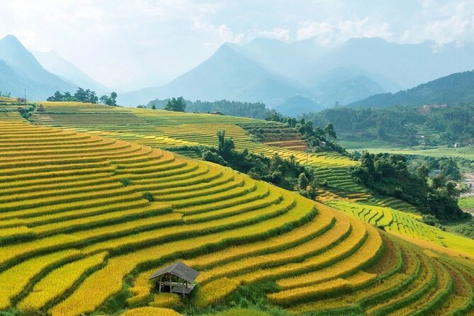 Half Day Sapa Cat Cat Explore Waterfall, Workshop, H'mong Local - Is $28 a fair price for three and a half hours?