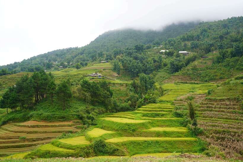 Half Day Sapa Trekking to Visit Lao Chai - Ta Van - Best weather, best shoes, and best expectations