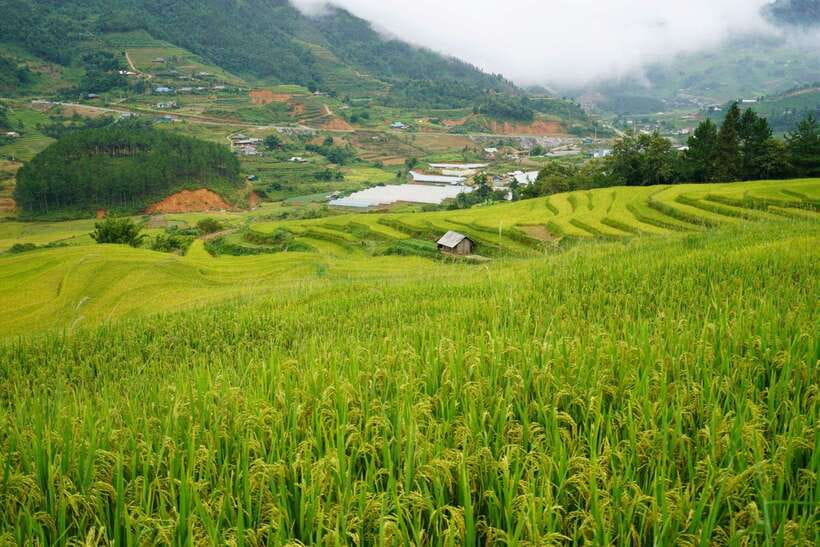 Half Day Sapa Trekking to Visit Lao Chai - Ta Van - Ta Van and the Dzay community