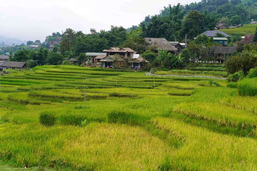 Half Day Sapa Trekking to Visit Lao Chai - Ta Van - The bus back from Ta Van Bridge