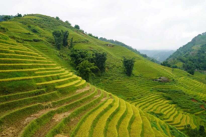 Half Day Sapa Trekking to Visit Lao Chai - Ta Van - How hard is the nine-kilometer walk?
