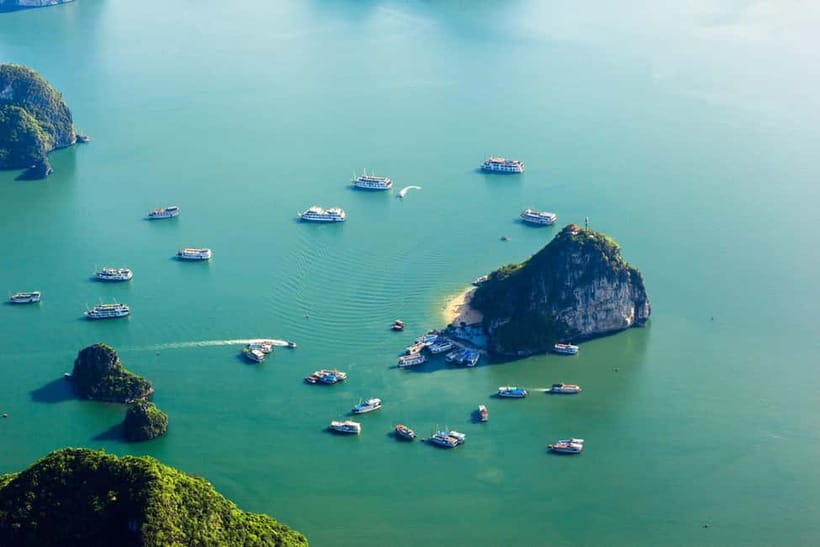 Halong 6 Hours Cruise: Kayak, Cave, Lunch, Beach & Island - Who will enjoy this cruise most