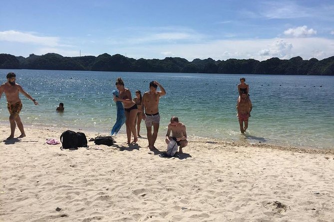 Halong Bay 2 Days 1 Night Included Transfer from Hanoi - Who will get the most from this two-day plan