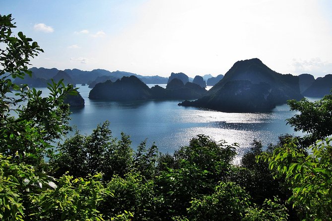 Halong Bay Cruise - Day Tours - Cruising past Dog Stone and Burning Incense Islet