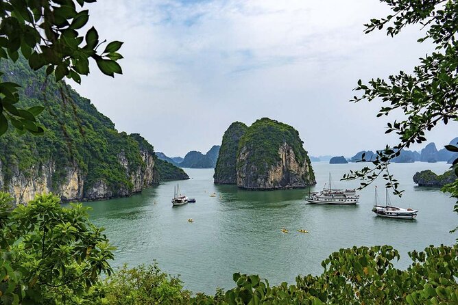 Halong Bay Cruise - Day Tours - Vietnamese lunch on the moving boat