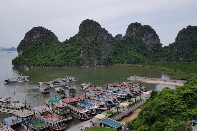 Halong Bay Cruise Tour from Hanoi with Kayak Adventure - What your $56.42 buys you