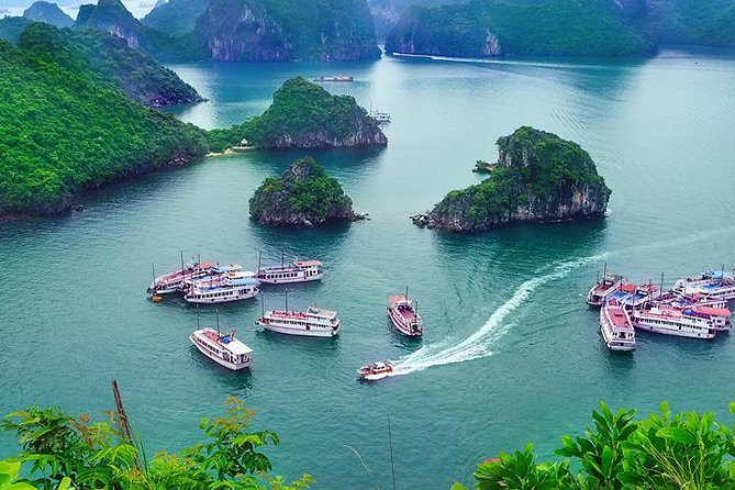 Halong Day Trip From Hanoi - The service side and named contacts