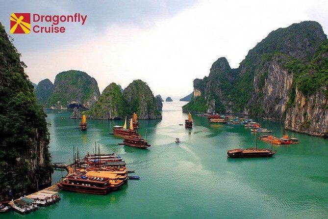 Halong Islands, Cave, Kayak, Bamboo Day Tour w Dragonfly Cruise - Seafood lunch aboard Dragonfly Cruise