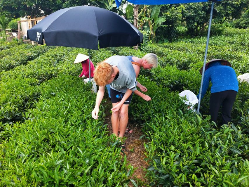 Hanoi: 3-Day Tour to Ban Gioc Waterfall and Ba Be Lake - Key points at a glance