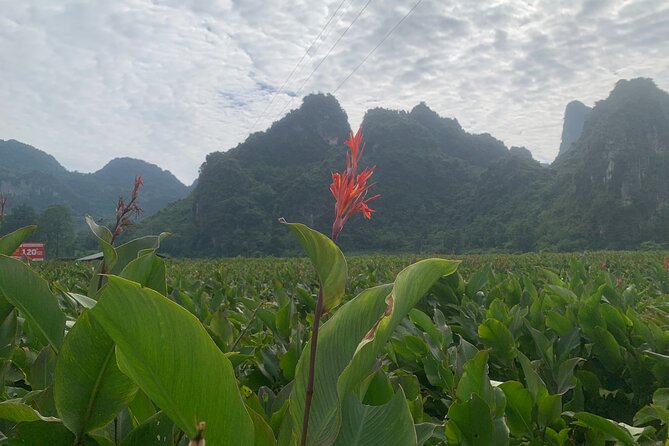 Hanoi - Cao Bang city - Ban Gioc Warterfall 2days/2nights ED7 - Trúc Lâm Pagoda and the waterfall approach