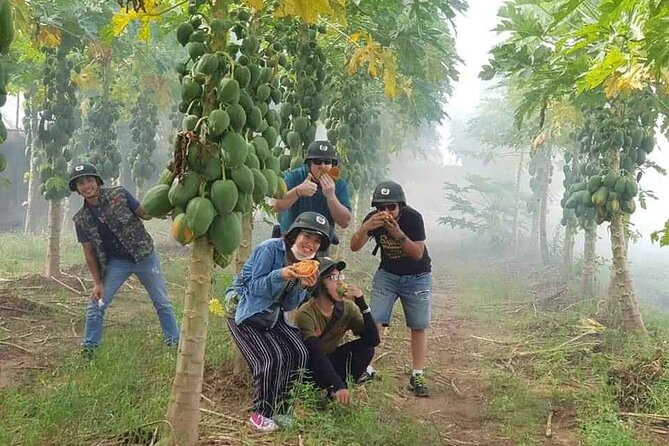 Hanoi Countryside Motorbike Tour: Red River Culture & Daily Life - Red River farmland and the edge of city life