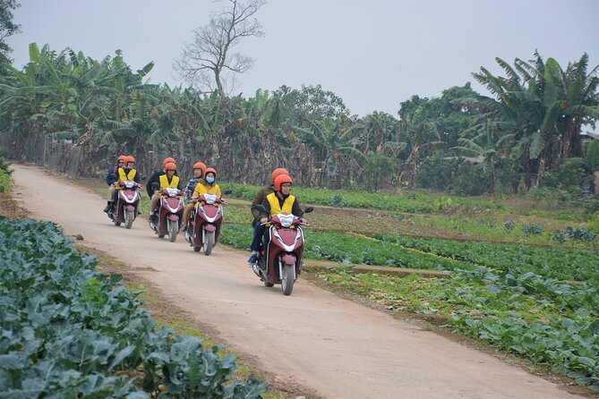 Hanoi Countryside Motorbike Tours Led By Women - Dong Anh and the 800-year-old village
