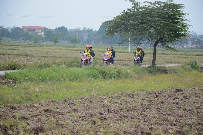 Hanoi Countryside Motorbike Tours Led By Women - Food near Truc Bach and the return to Hanoi