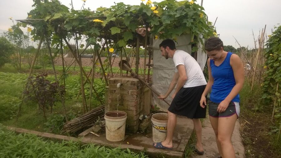 Hanoi Farm Tour and Cooking Class with Local Family - Meeting Mandy and sharing village life