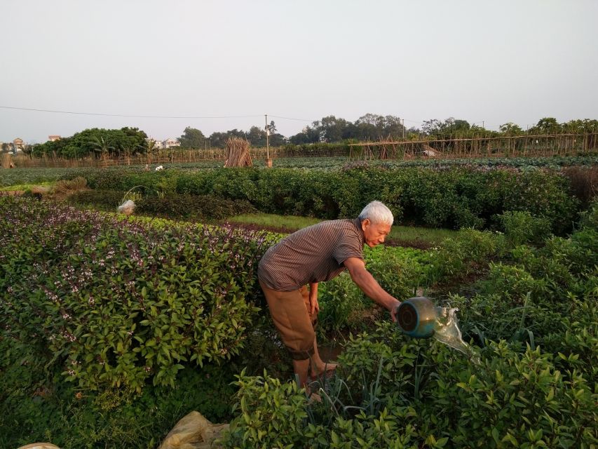Hanoi Farm Tour and Cooking Class with Local Family - Should you book this Hanoi farm and cooking tour?