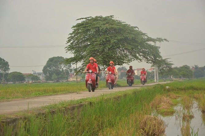 Hanoi Food Tours: Hanoi Foodie Scooter Tour Led By Women - West Lake and the wider city view