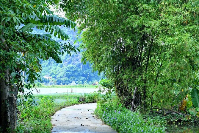 Hanoi Full Day A Private Tour With Mix of History and Activities - Vietnamese lunch and the shift to Old Hanoi