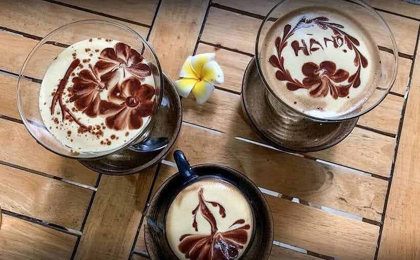 Hanoi: Guided Food Tour with Train Street Visit - What $19 really gets you